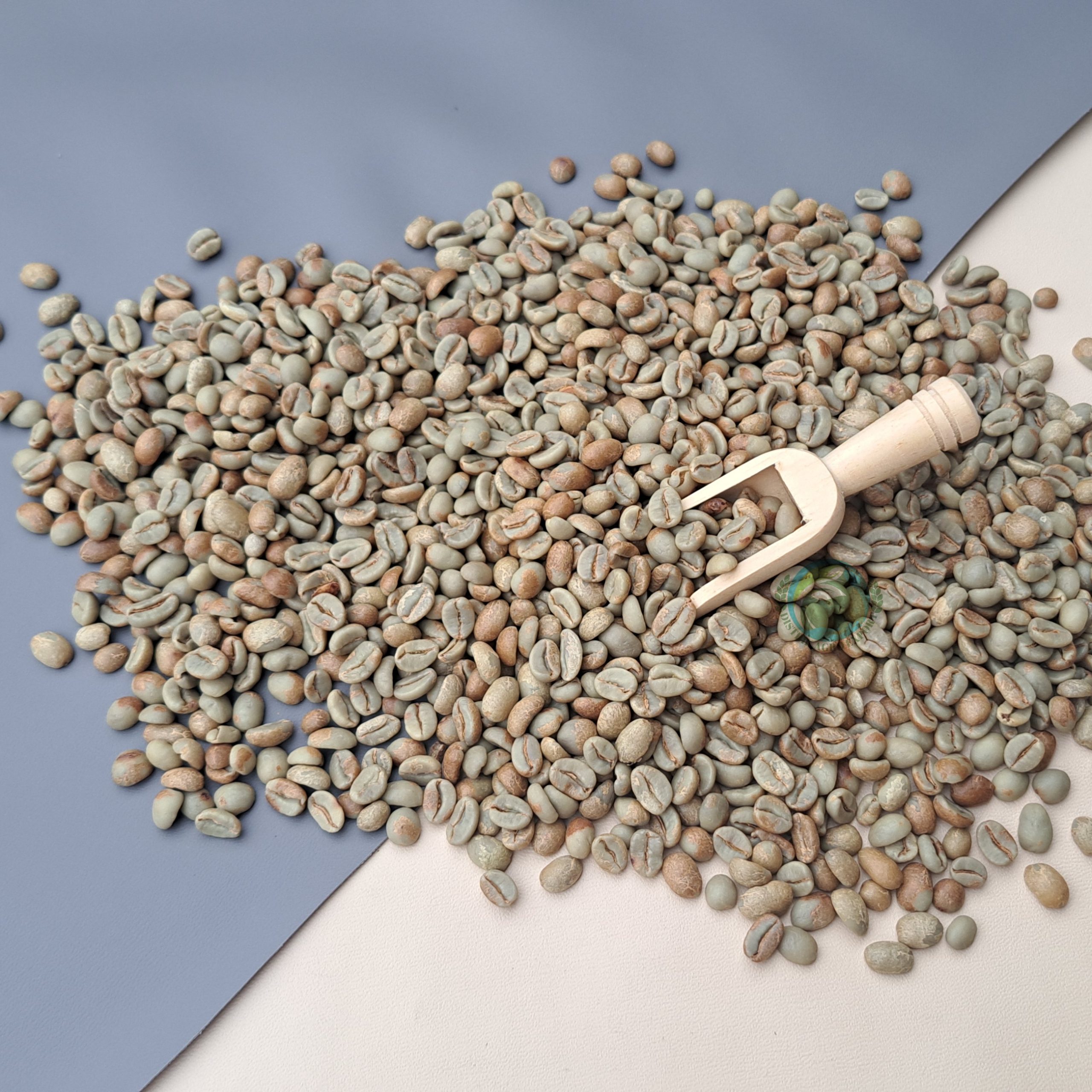 {"uid":"29676bcb-b926-4b05-b1e1-63c0971fd687","from":"picsart"}