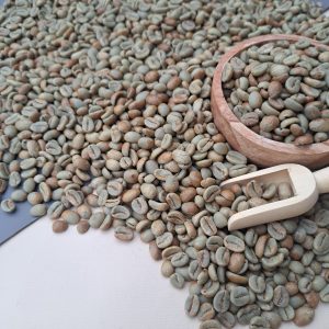 Arabica Coffee Beans - Arabica Sweet Gayo Specialty